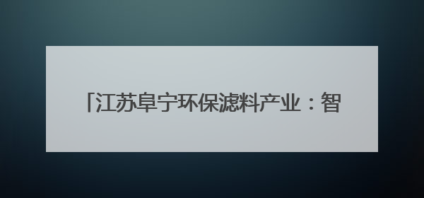 江苏阜宁环保滤料产业：智改数转领跑全国 2024年市场份额占全国三分之一