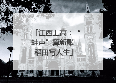 江西上高：“蛙声”算新账 稻田写人生