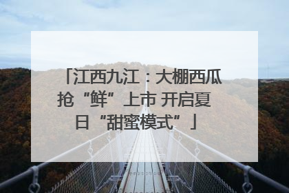江西九江：大棚西瓜抢“鲜”上市 开启夏日“甜蜜模式”