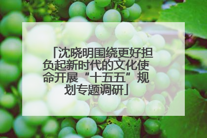 沈晓明围绕更好担负起新时代的文化使命开展“十五五”规划专题调研
