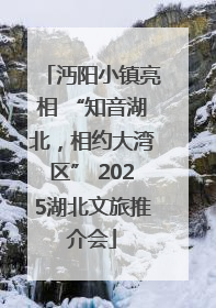 沔阳小镇亮相 “知音湖北，相约大湾区” 2025湖北文旅推介会