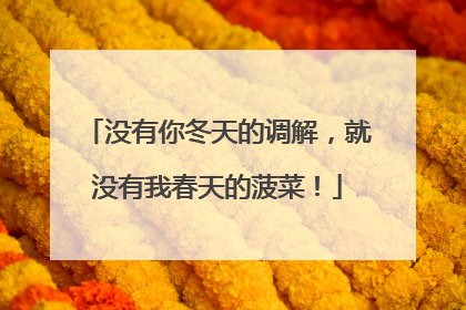 没有你冬天的调解，就没有我春天的菠菜！