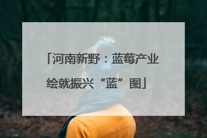 河南新野：蓝莓产业绘就振兴“蓝”图