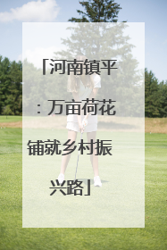 河南镇平：万亩荷花铺就乡村振兴路