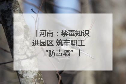 河南：禁毒知识进园区 筑牢职工“防毒墙”