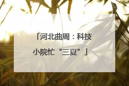 河北曲周：科技小院忙“三夏”