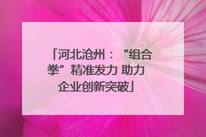 河北沧州：“组合拳”精准发力 助力企业创新突破