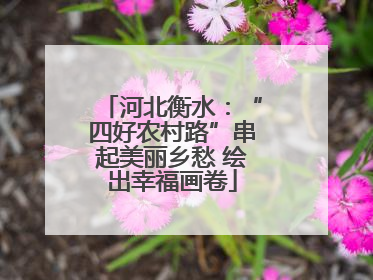 河北衡水：“四好农村路”串起美丽乡愁 绘出幸福画卷