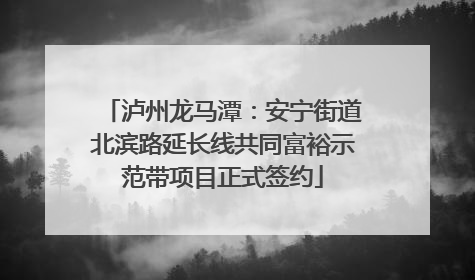 泸州龙马潭：安宁街道北滨路延长线共同富裕示范带项目正式签约