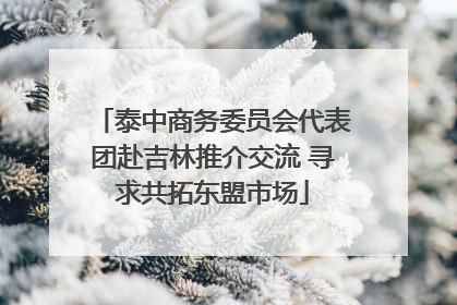 泰中商务委员会代表团赴吉林推介交流 寻求共拓东盟市场