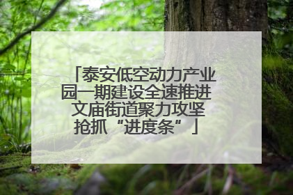 泰安低空动力产业园一期建设全速推进 文庙街道聚力攻坚抢抓“进度条”