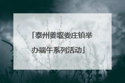 泰州姜堰娄庄镇举办端午系列活动