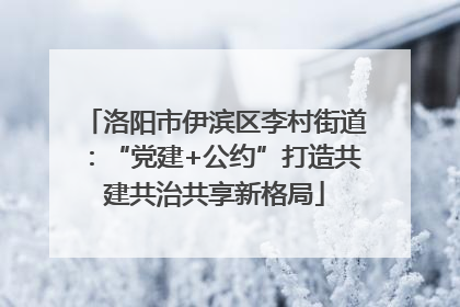 洛阳市伊滨区李村街道：“党建+公约”打造共建共治共享新格局