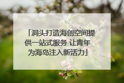 洞头打造海创空间提供一站式服务 让青年为海岛注入新活力