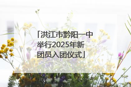 洪江市黔阳一中举行2025年新团员入团仪式