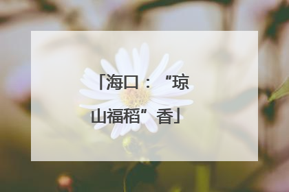 海口：“琼山福稻”香