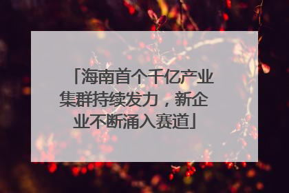 海南首个千亿产业集群持续发力，新企业不断涌入赛道