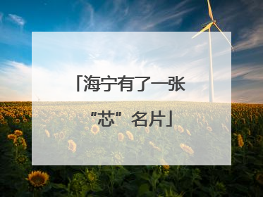 海宁有了一张“芯”名片