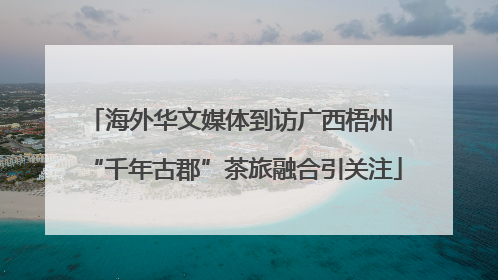 海外华文媒体到访广西梧州 “千年古郡”茶旅融合引关注
