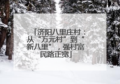 济阳八里庄村：从“万元村”到“新八里”，强村富民路正宽