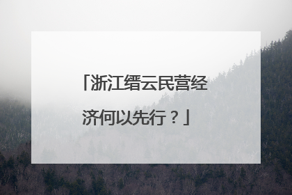 浙江缙云民营经济何以先行？
