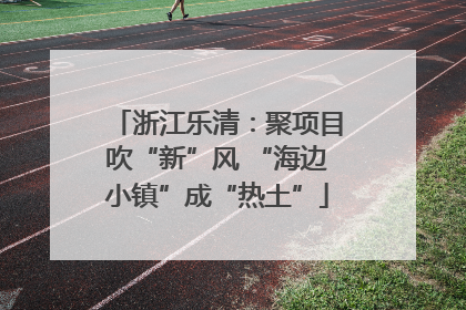 浙江乐清：聚项目吹“新”风 “海边小镇”成“热土”