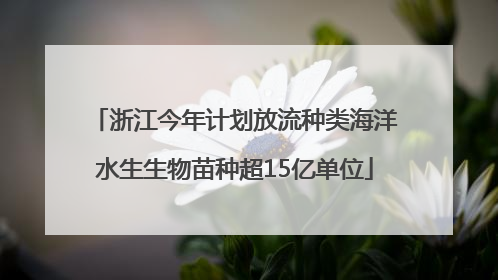 浙江今年计划放流种类海洋水生生物苗种超15亿单位
