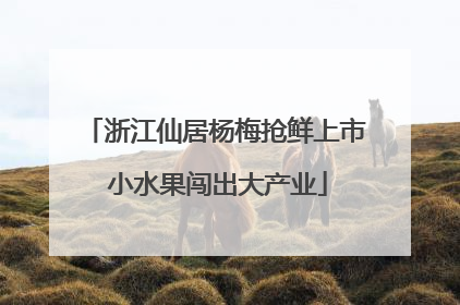 浙江仙居杨梅抢鲜上市 小水果闯出大产业