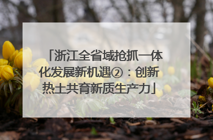 浙江全省域抢抓一体化发展新机遇②：创新热土共育新质生产力