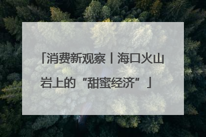 消费新观察丨海口火山岩上的“甜蜜经济”