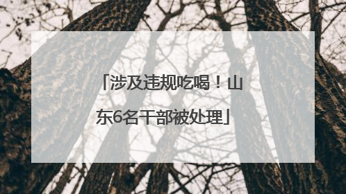 涉及违规吃喝！山东6名干部被处理