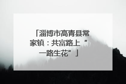 淄博市高青县常家镇：共富路上“一路生花”