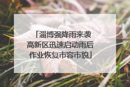 淄博强降雨来袭 高新区迅速启动雨后作业恢复市容市貌