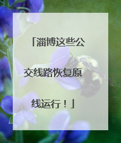 淄博这些公交线路恢复原线运行！
