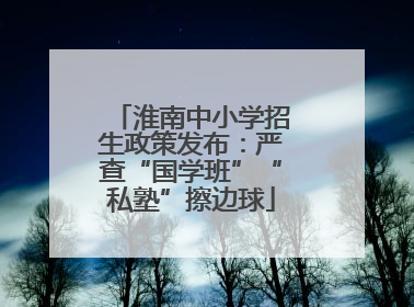 淮南中小学招生政策发布：严查“国学班”“私塾”擦边球