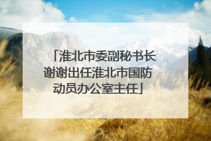淮北市委副秘书长谢谢出任淮北市国防动员办公室主任