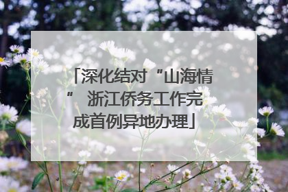 深化结对“山海情” 浙江侨务工作完成首例异地办理