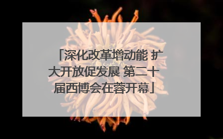 深化改革增动能 扩大开放促发展 第二十届西博会在蓉开幕