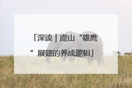 深读｜虞山“雄鹰”展翅的养成逻辑