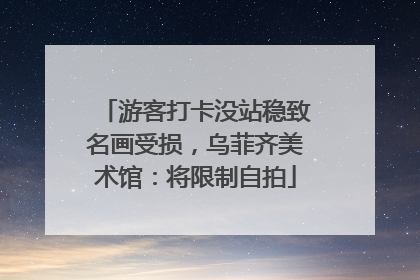 游客打卡没站稳致名画受损，乌菲齐美术馆：将限制自拍