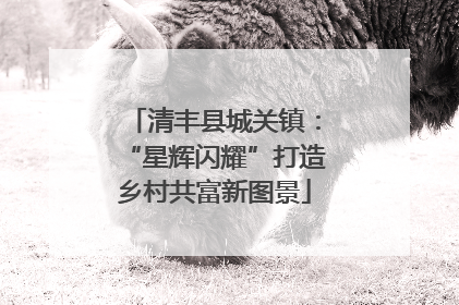 清丰县城关镇：“星辉闪耀”打造乡村共富新图景
