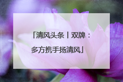 清风头条丨双牌：多方携手扬清风