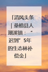 清风头条｜桑植县人潮溪镇：“迟到”5年的生态林补偿金