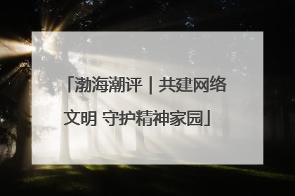 渤海潮评｜共建网络文明 守护精神家园