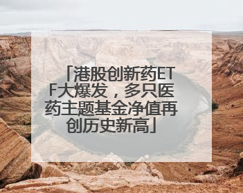 港股创新药ETF大爆发，多只医药主题基金净值再创历史新高