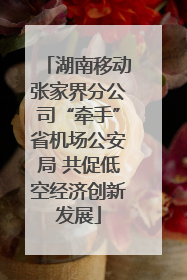 湖南移动张家界分公司“牵手”省机场公安局 共促低空经济创新发展