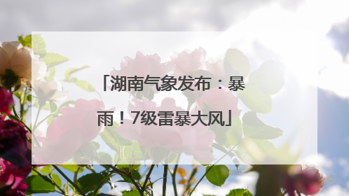 湖南气象发布：暴雨！7级雷暴大风