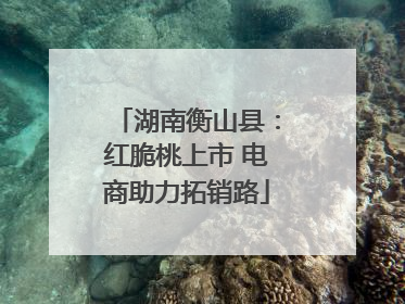 湖南衡山县：红脆桃上市 电商助力拓销路