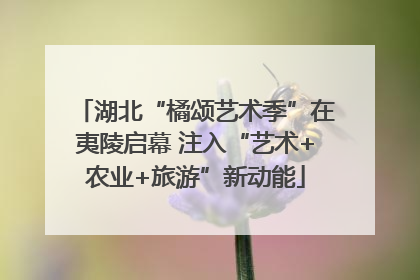 湖北“橘颂艺术季”在夷陵启幕 注入“艺术+农业+旅游”新动能