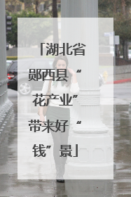湖北省郧西县“花产业”带来好“钱”景